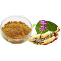 High Quality 100% Natural Kudzu Extract Powder Isoflavones